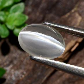 1.14캐럿 천연 연기 실리마나이트 고양이 눈, 타원형 컷, 투명한