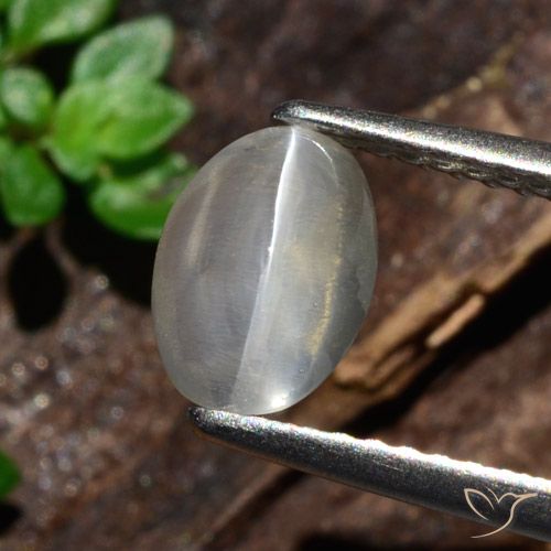 1.47ct 자연스러운 하얀색 실리마나이트 고양이 눈, 타원형, 투명한