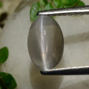 1.20캐럿 천연 연기 실리마나이트 고양이 눈, 타원형 컷, 투명한