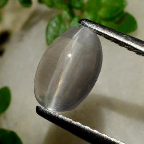 1.20캐럿 천연 연기 실리마나이트 고양이 눈, 타원형 컷, 투명한