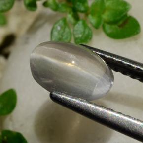 1.20캐럿 천연 연기 실리마나이트 고양이 눈, 타원형 컷, 투명한