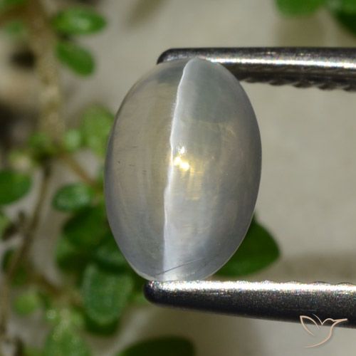1.65ct 자연스러운 매우 밝은 회색 실리마나이트 고양이 눈, 타원형, 투명한