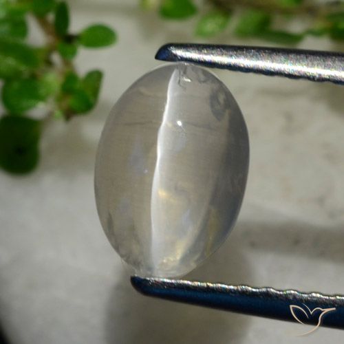 1.40ct 자연스러운 매우 밝은 회색 실리마나이트 고양이 눈, 타원형, 투명한
