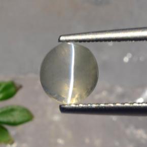1.56캐럿 천연 스모크 Sillimanite Cat's Eye, 라운드 컷, 6.22 mm, 투명한