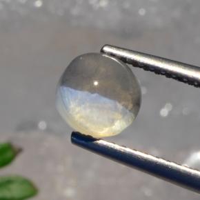 1.56캐럿 천연 스모크 Sillimanite Cat's Eye, 라운드 컷, 6.22 mm, 투명한