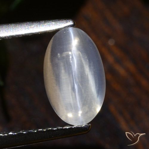1.75ct 자연스러운 분명한 실리마나이트 고양이 눈, 타원형, 투명한