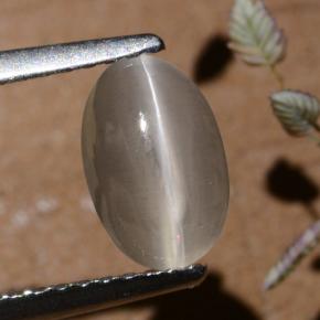 1.40캐럿 천연 연기 실리마나이트 고양이 눈, 타원형 컷, 투명한