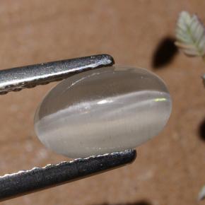 1.40캐럿 천연 연기 실리마나이트 고양이 눈, 타원형 컷, 투명한