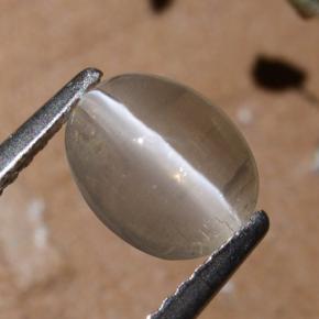 1.44캐럿 천연 연기 실리마나이트 고양이 눈, 타원형 컷, 투명한