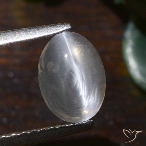 1.54ct 자연스러운 따뜻한 화이트 실리마나이트 고양이 눈, 타원형, 투명한