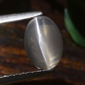 1.40캐럿 천연 매우 밝은 회색 실리마나이트 고양이 눈, 타원형 컷, 투명한