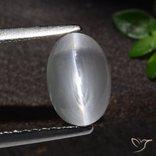 1.51ct 자연스러운 하얀색 실리마나이트 고양이 눈, 타원형, 투명한