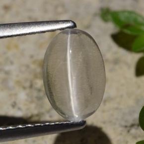 1.45캐럿 천연 연기 실리마나이트 고양이 눈, 타원형 컷, 투명한