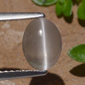 1.29캐럿 천연 연기 실리마나이트 고양이 눈, 타원형 컷, 투명한