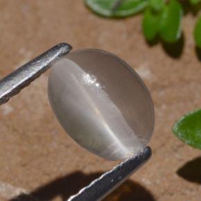 1.29캐럿 천연 연기 실리마나이트 고양이 눈, 타원형 컷, 투명한