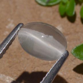 1.29캐럿 천연 연기 실리마나이트 고양이 눈, 타원형 컷, 투명한