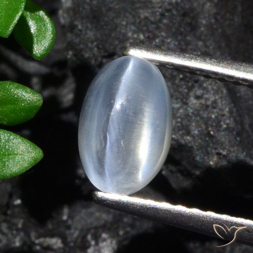 1.70ct 자연스러운 분명한 실리마나이트 고양이 눈, 타원형, 투명한