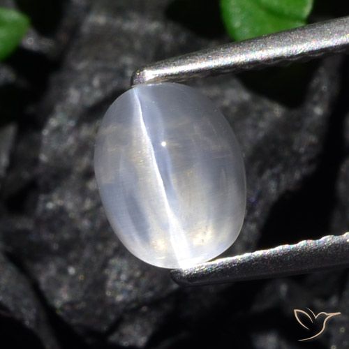 1.61ct 자연스러운 분명한 실리마나이트 고양이 눈, 타원형, 투명한