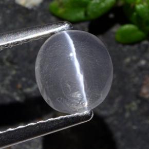1.03캐럿 천연 스모크 Sillimanite Cat's Eye, 타원형 컷, 6.8×6.3 mm, 투명한