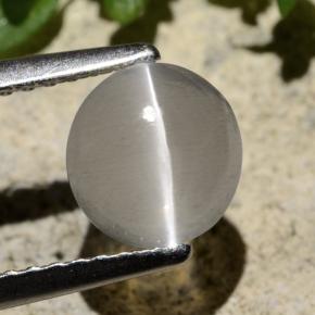 1.59캐럿 천연 연기 실리마나이트 고양이 눈, 라운드 컷, 투명한