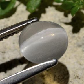 1.59캐럿 천연 연기 실리마나이트 고양이 눈, 라운드 컷, 투명한