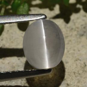 1.57캐럿 천연 연기 실리마나이트 고양이 눈, 타원형 컷, 투명한