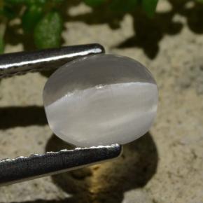 1.57캐럿 천연 연기 실리마나이트 고양이 눈, 타원형 컷, 투명한