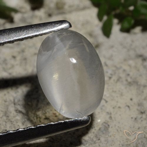 1.44ct 자연스러운 클리어 화이트 실리마나이트 고양이 눈, 타원형, 투명한