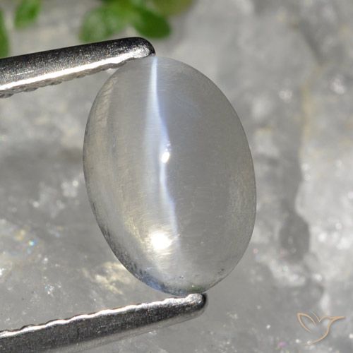1.49ct 자연스러운 매우 밝은 회색 실리마나이트 고양이 눈, 타원형, 투명한