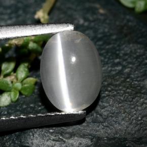 1.39캐럿 천연 스모크 Sillimanite Cat's Eye, 타원형 컷, 7.5×5.7 mm, 투명한