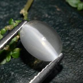 1.39캐럿 천연 스모크 Sillimanite Cat's Eye, 타원형 컷, 7.5×5.7 mm, 투명한