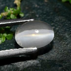 1.39캐럿 천연 스모크 Sillimanite Cat's Eye, 타원형 컷, 7.5×5.7 mm, 투명한