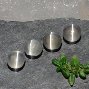 3.82캐럿 천연 클리어 화이트 Sillimanite Cat's Eye 보석, 타원형 컷, 5.7×5.1 mm, 투명한