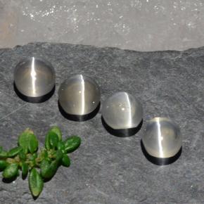 3.82캐럿 천연 클리어 화이트 Sillimanite Cat's Eye 보석, 타원형 컷, 5.7×5.1 mm, 투명한