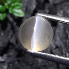 1.74캐럿 천연 매우 밝은 회색 Sillimanite Cat's Eye, 라운드 컷, 6.38 mm, 투명한