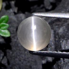 1.74캐럿 천연 매우 밝은 회색 Sillimanite Cat's Eye, 라운드 컷, 6.38 mm, 투명한