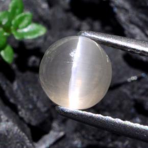 1.74캐럿 천연 매우 밝은 회색 Sillimanite Cat's Eye, 라운드 컷, 6.38 mm, 투명한