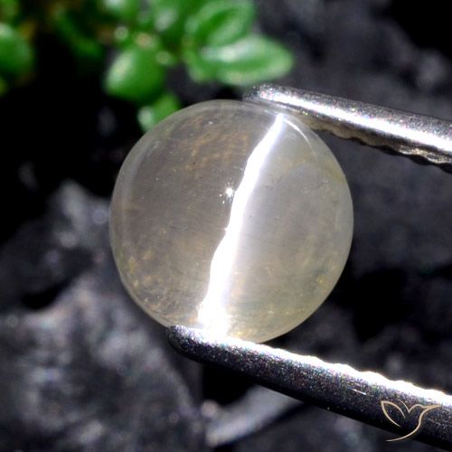 1.53ct 자연스러운 따뜻한 화이트 실리마나이트 고양이 눈, 둥근, 투명한