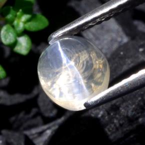 1.93캐럿 천연 분명한 Sillimanite Cat's Eye, 타원형 컷, 6.7×6.2 mm, 투명한