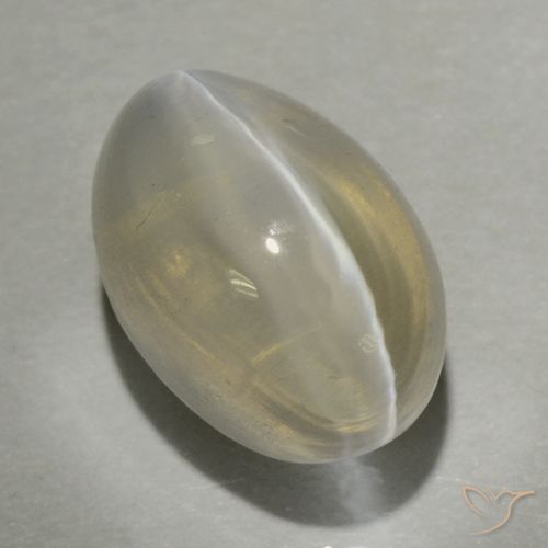 1.47ct 자연스러운 연노랑 실리마나이트 고양이 눈, 타원형, 투명한