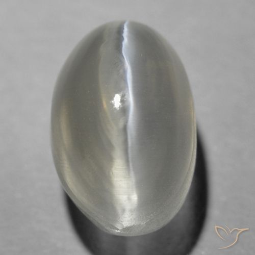 1.70ct 자연스러운 매우 밝은 회색 실리마나이트 고양이 눈, 타원형, 투명한