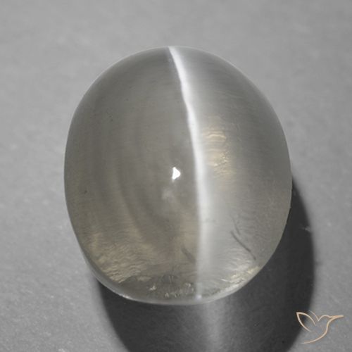 1.26ct 자연스러운 매우 밝은 회색 실리마나이트 고양이 눈, 타원형, 투명한