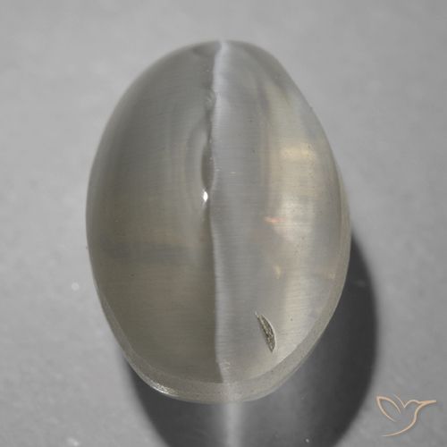 1.63ct 자연스러운 매우 밝은 회색 실리마나이트 고양이 눈, 타원형, 투명한