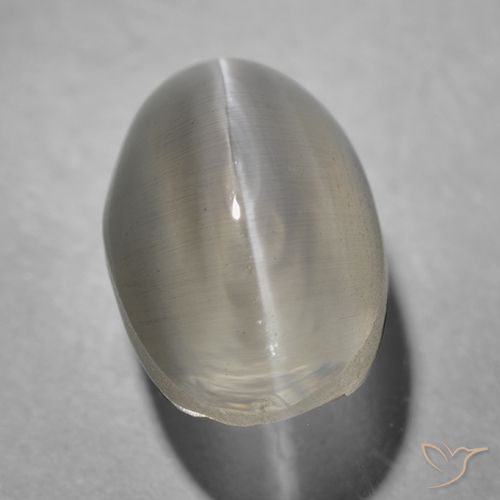 1.43ct 자연스러운 매우 밝은 회색 실리마나이트 고양이 눈, 타원형, 투명한