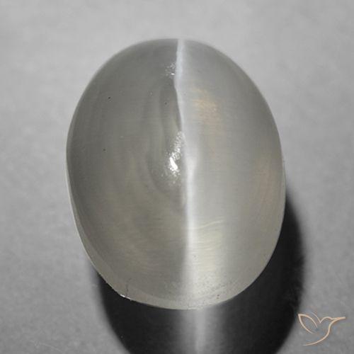 1.63ct 자연스러운 매우 밝은 회색 실리마나이트 고양이 눈, 타원형, 투명한