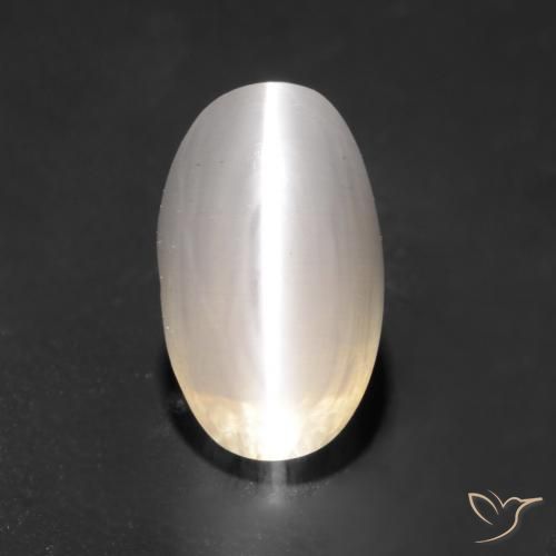 1.59ct 자연스러운 매우 밝은 회색 실리마나이트 고양이 눈, 타원형, 투명한