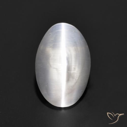 1.24ct 자연스러운 매우 밝은 회색 실리마나이트 고양이 눈, 타원형, 투명한