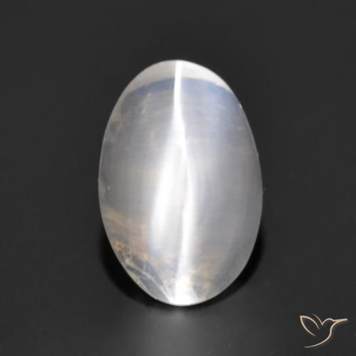 1.17ct 자연스러운 매우 밝은 회색 실리마나이트 고양이 눈, 타원형, 투명한
