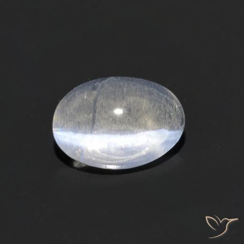 0.73ct 자연스러운 분명한 실리마나이트 고양이 눈, 타원형, 투명한