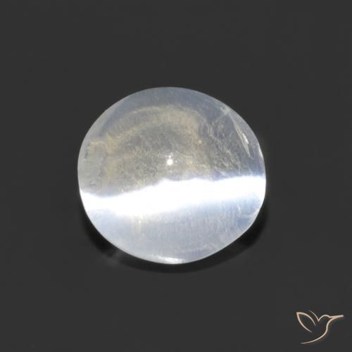 1.29ct 자연스러운 클리어 화이트 실리마나이트 고양이 눈, 타원형, 투명한
